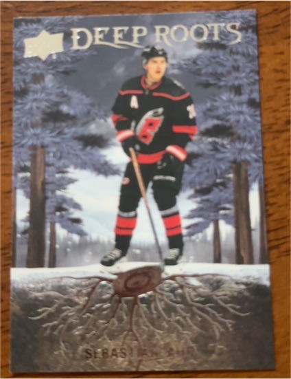 2023-24 Upper Deck Series 2 #DR-34 Sebastian Aho Deep Roots — front