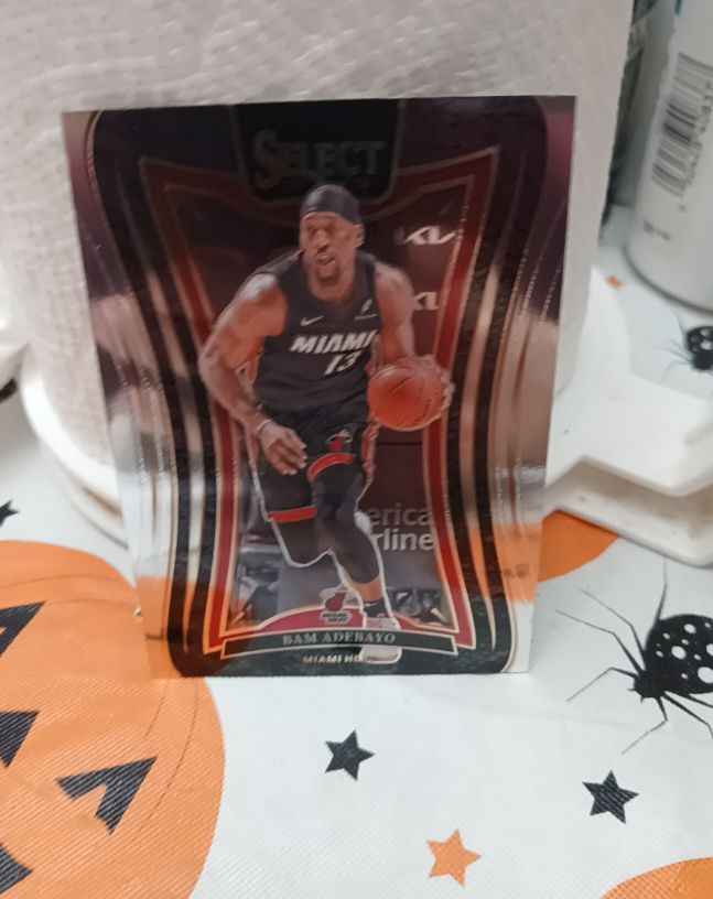 2024-25 Panini Select #334 Bam Adebayo — front