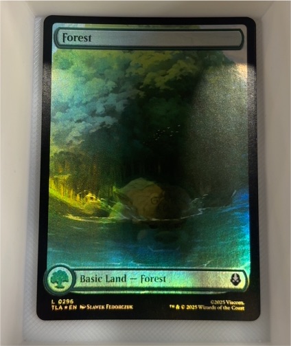 2025 Magic: The Gathering #0296 Forest Final Fantasy — front