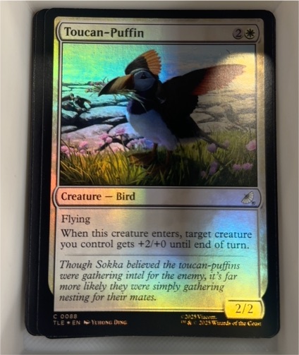 2025 Magic: The Gathering #88 Toucan-Puffin — front