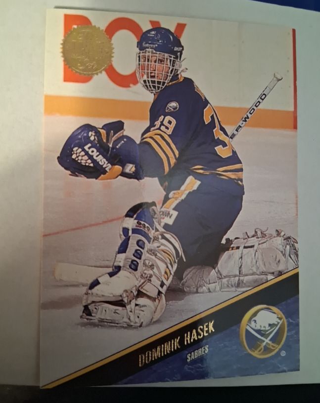 1993-94 Leaf #256 Dominik Hasek — front