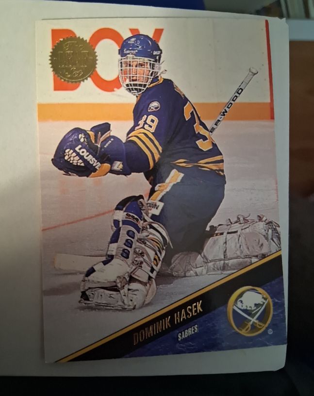 1993-94 Leaf #256 Dominik Hasek — front