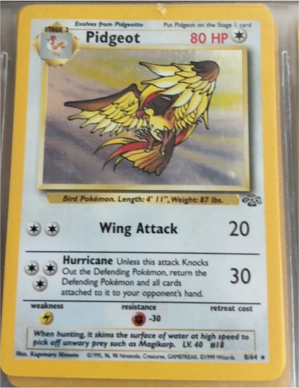 1999 Pokémon Jungle #24 Pidgeot — front