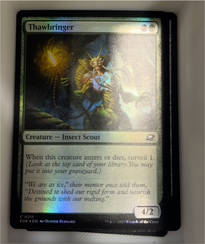 2023 Magic: The Gathering Edge of Eternities #0211 Thawbringer — front