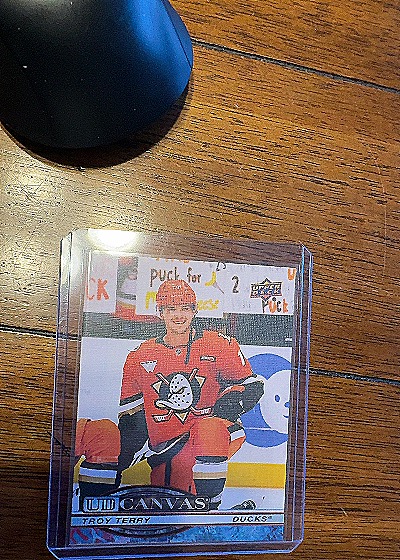 2021-22 Upper Deck Canvas #C1 Troy Terry — front
