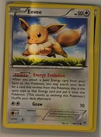 2014 Pokémon XY Furious Fists #80 Eevee — front