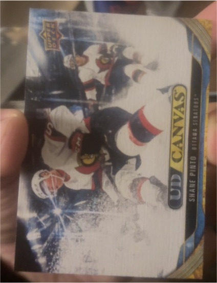 2024-25 Upper Deck UD Canvas #C177 Shane Pinto — front