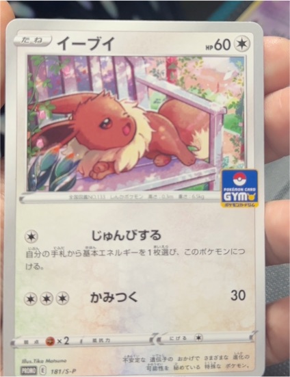 2021 Pokémon 181/S-P Eevee Gym Promo — front