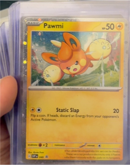 2023 Pokémon SV: Scarlet & Violet Promo #040 Pawmi — front