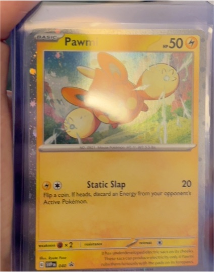 2023 Pokémon Scarlet & Violet #040 Pawmi — front