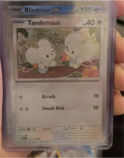 2023 Pokémon TCG Paldea Evolved #167 Tandemaus — front