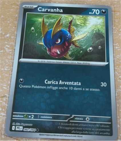 2025 Pokémon TCG Phantasmal Flames #060 Carvanha — front