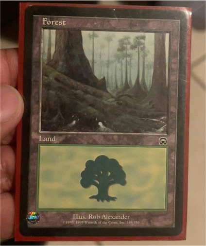 1999 Magic: The Gathering #348 Forest — front