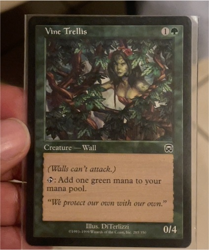 1999 Magic: The Gathering Mercadian Masques #285 Vine Trellis — front