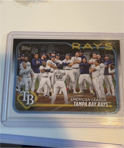 2024 Topps Series 1 #211 Tampa Bay Rays Team Card — front