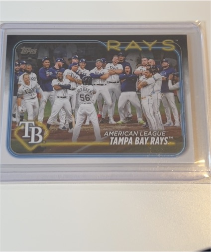 2024 Topps Series 1 #211 Tampa Bay Rays Team Card — front