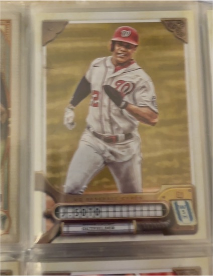 2022 Topps Gypsy Queen #207 Juan Soto — front
