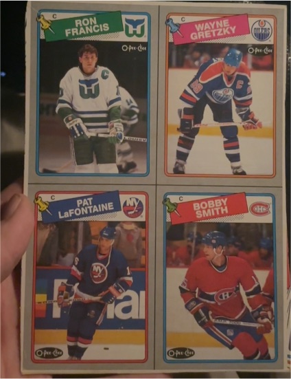 1988-89 O-Pee-Chee Wayne Gretzky #N/A — front