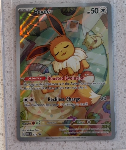 2025 Pokémon SV: Scarlet & Violet Promo #173 Eevee — front
