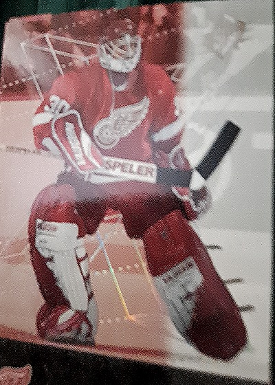 1990 Pro Set #366 Detroit Red Wings Goalie — front