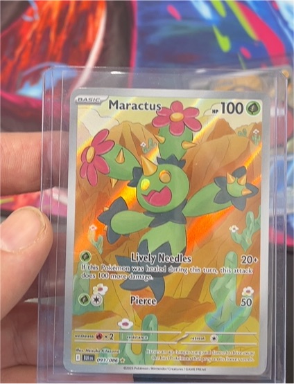 2023 Pokémon Scarlet & Violet #093 Maractus — front