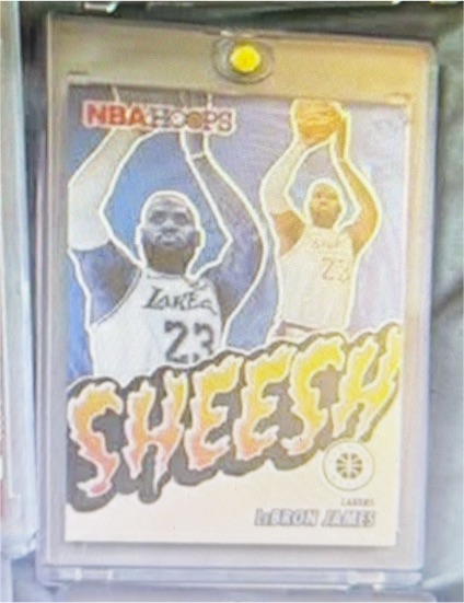 2023-24 Panini NBA Hoops Premium Stock #17 LeBron James Sheesh — front