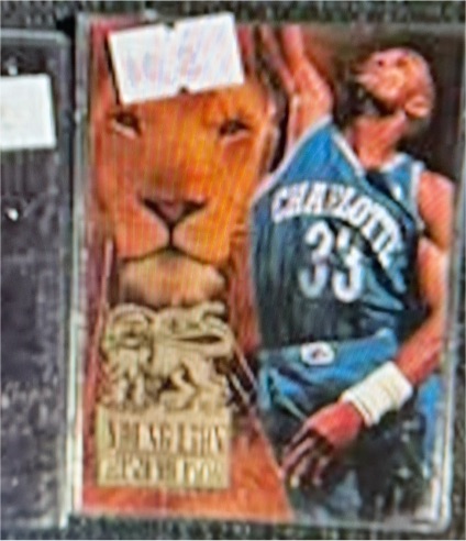 1994-95 Fleer #4 Alonzo Mourning Young Lions — front