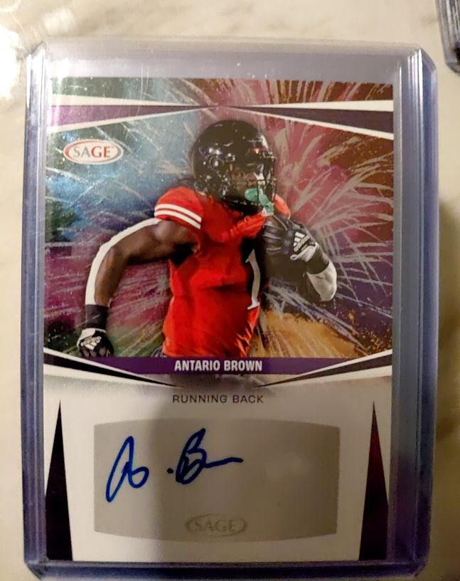 2025 Sage #A-AB Antario Brown — front