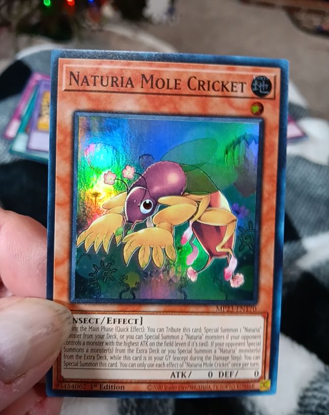 Yu-Gi-Oh! MP23-EN170 Naturia Mole Cricket — front