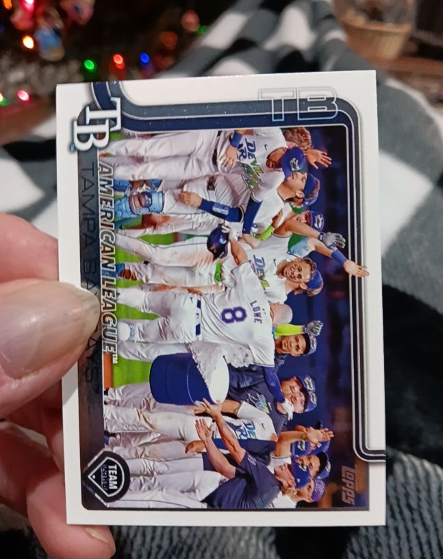 2025 Topps Series 1 #294 Tampa Bay Rays Team Card — front