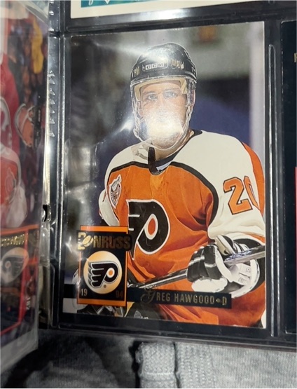 1993-94 Donruss #19 Reg Hawgood — front