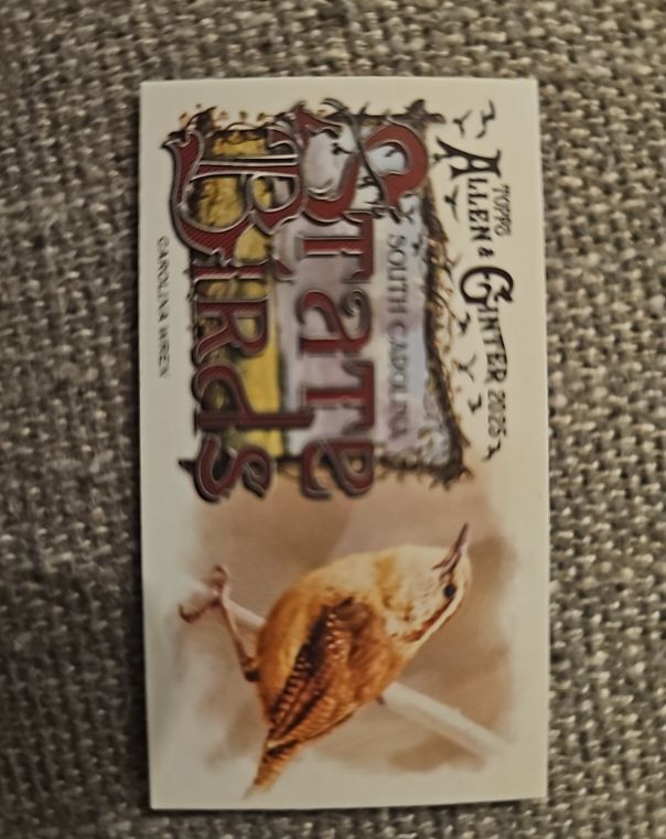2025 Topps Allen & Ginter Mini State Birds #SB-3 Cactus Wren — front