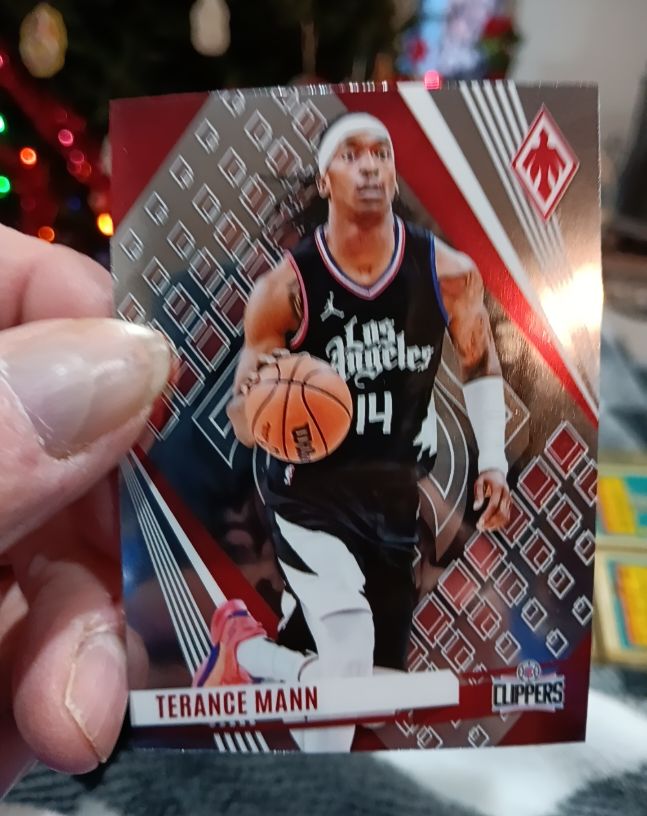 2023-24 Panini Phoenix #247 Terance Mann — front