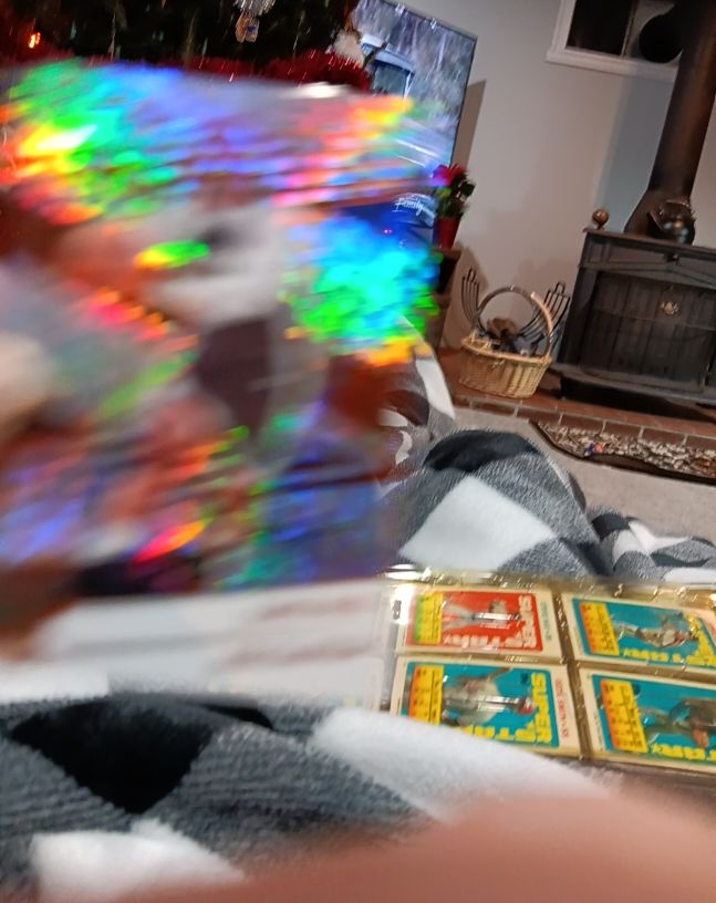 1990 Topps Teenage Mutant Ninja Turtles Hologram Card — front
