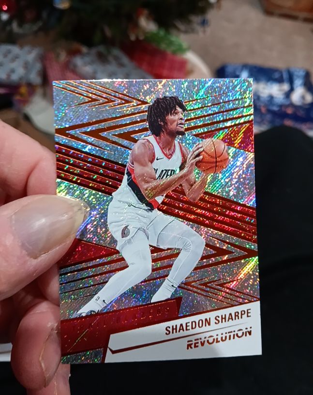 2024-25 Panini Revolution #17 Shaedon Sharpe — front