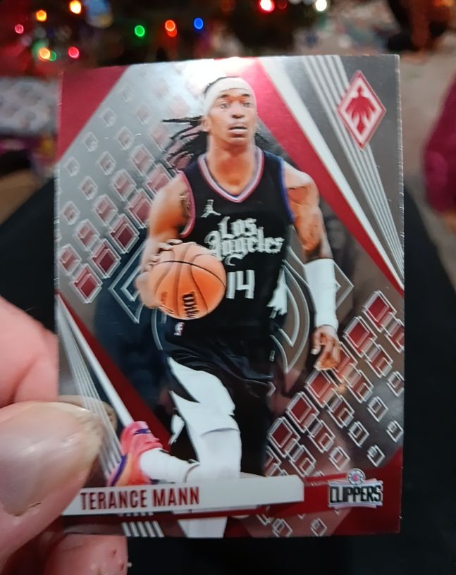2023-24 Panini Phoenix #247 Terance Mann — front