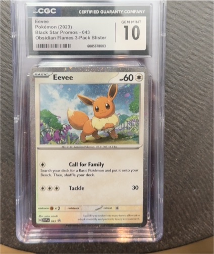 2023 Pokémon Black Star Promos #043 Eevee — front