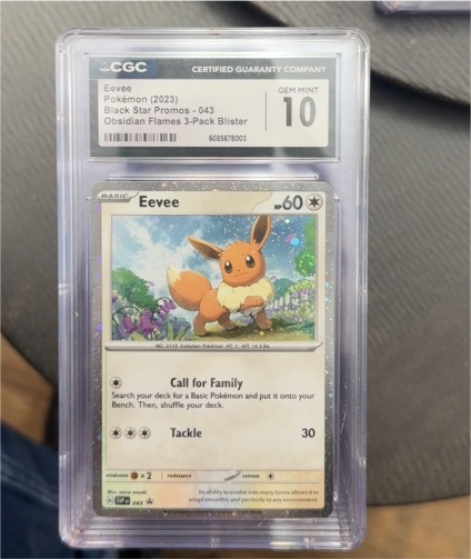 2023 Pokémon Black Star Promos #043 Eevee — front