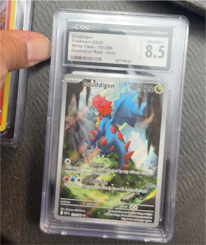 2025 Pokémon #151 Druddigon — front