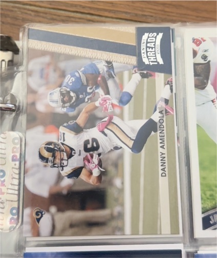 2011 Panini Threads Danny Amendola — front