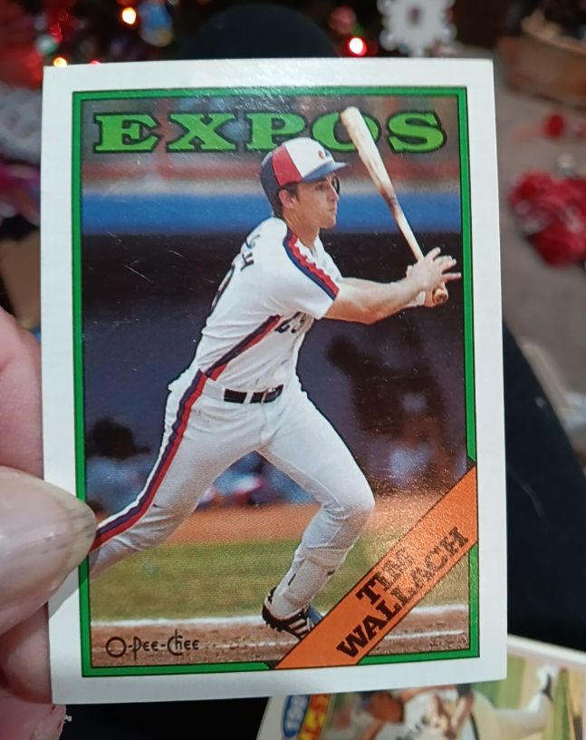 1988 O-Pee-Chee #560 Tim Wallach — front