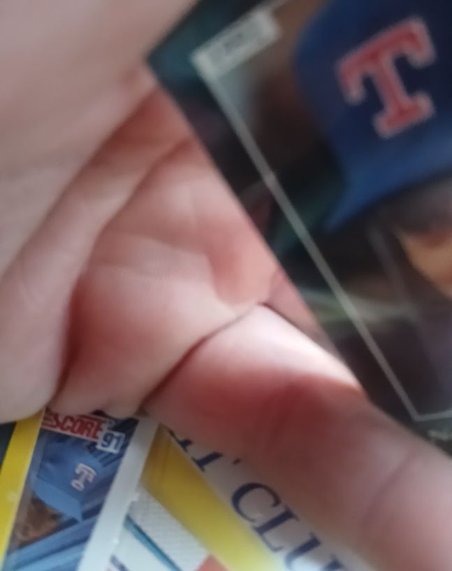 1991 Score #91 Rafael Palmeiro — front