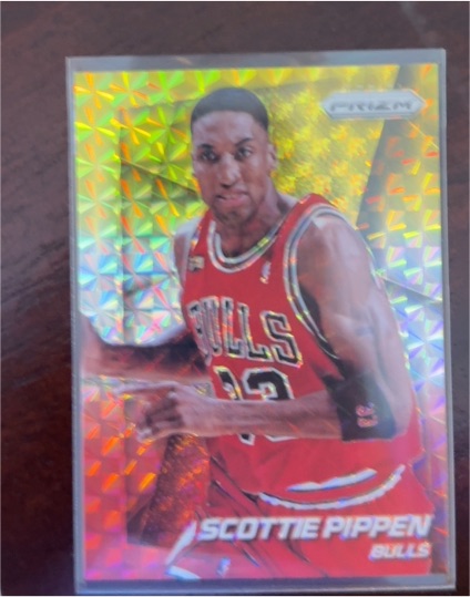 2014-15 Panini Prizm #215 Scottie Pippen — front