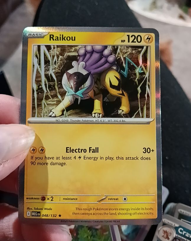 2015 Pokemon Mega Evolution #048 Raikou — front