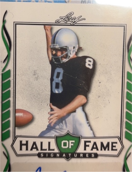 2021 Leaf Signature Hall of Fame Auto #HOF-RG1 Ray Guy — front