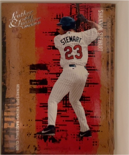 2005 Donruss Leather & Lumber #123 Shannon Stewart — front