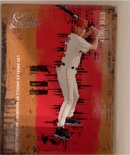 2005 Donruss Leather & Lumber #125 Steve Finley — front