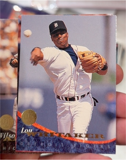 1994 Leaf #80 Lou Whitaker — front