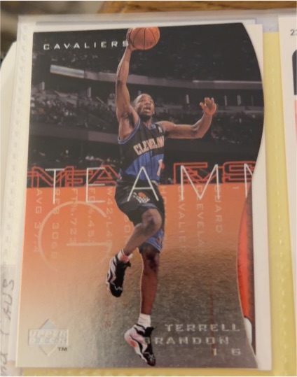 1997-98 Upper Deck Teammates Die-Cut #T9 Terrell Brandon — front