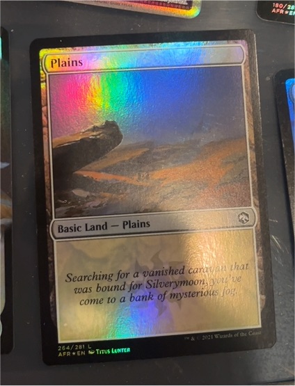 2021 MTG Adventures in the Forgotten Realms #264 Plains — front